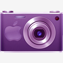 purple,camera