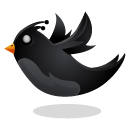 bird,twitter