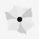 illustrator