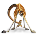 Madagascar,Melman