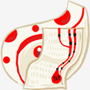 Folder,document