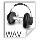 audio,x,wav