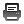 document,print