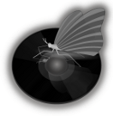 quodlibet