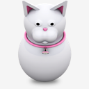white,kitty,cat
