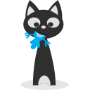 Catlover,cat