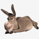 Donkey