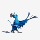 Blue,bird