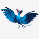 Jewel,bird