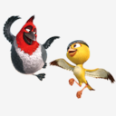 Nico,and,Pedro,bird