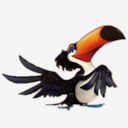 Rafael,bird