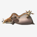 Gloria,and,Melman