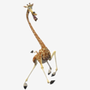 Melman