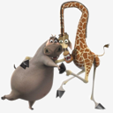 Melman,and,Gloria