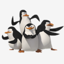 Penguins,Penguin