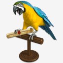 Pirate,Mail