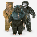 Ewoks