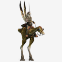 General,Tarpals