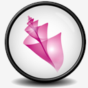 Adobe,Bridge,CS2