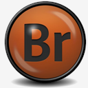 Adobe,Bridge,CS4