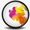 Illustrator,CS