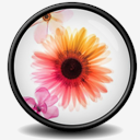 Illustrator,CS2