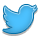 twitter,shadow
