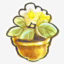Flowerpot,Flower