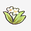 Recycle,flower