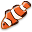 clown,fish