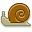 snail