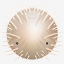 Blowfish