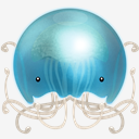 Jelly