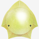Starfish