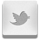 twitter,bird