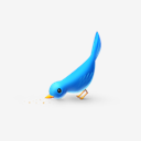 hungry,bird