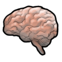 brain