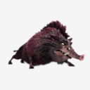 Boris