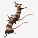 Crash,and,Eddie