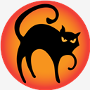 black,cat