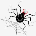 spider