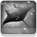 oceanhd