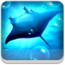 oceanhd