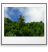 bmp,image,mime