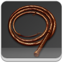 thewhip