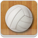 zz,alt,volleyball