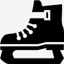 IceHockey,IceSkate