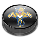 Panthers
