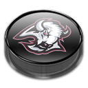 Sabres