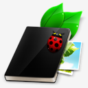 bug,book